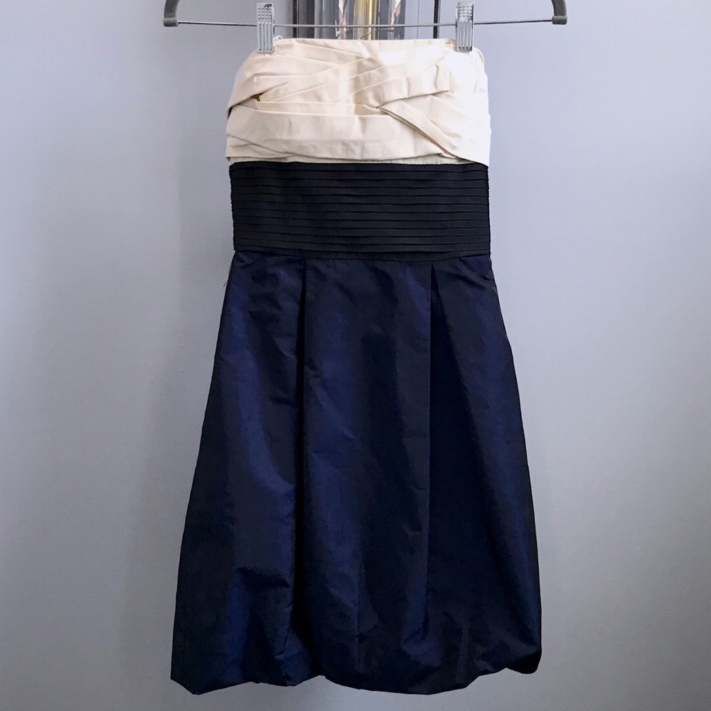 🌟EUC🌟 BCBGMaxAzria Dress (size 0)
